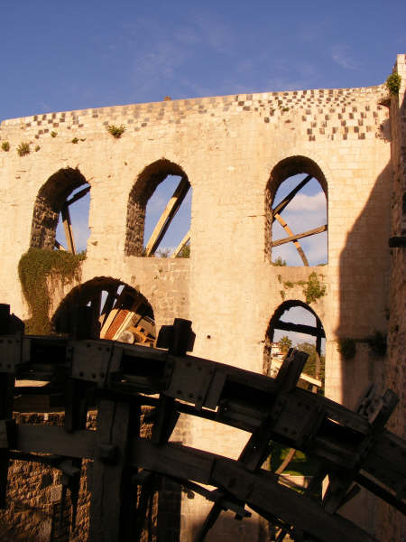 DSCF0834.jpg