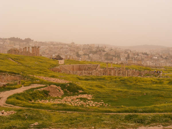 DSCF1078.jpg