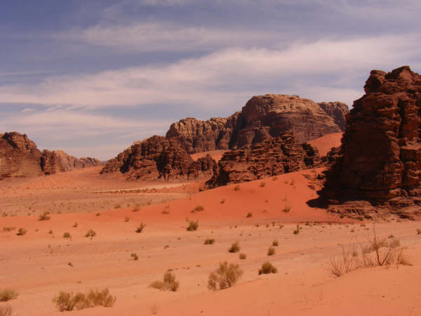 DSCF1254.jpg