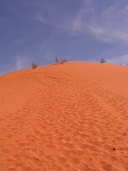 DSCF1258.jpg
