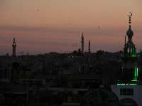 DSCF0850.jpg