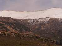 DSCF0943.jpg
