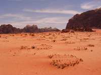 DSCF1239.jpg
